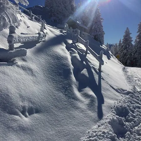 Holaus Διαμέρισμα Βέστεντορφ