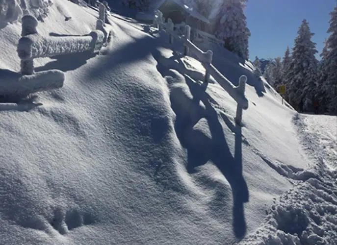 Holaus Appartement Westendorf